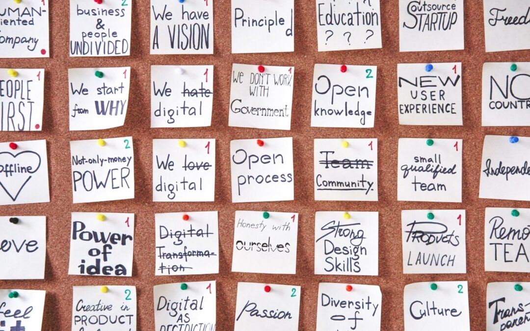How B Corps are Making an Impact in Our World