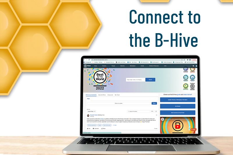 Tap into the B Hive