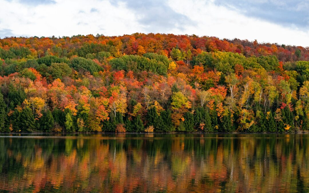 Evergreen Volunteering Inspiration: Colchester Conservation Commission
