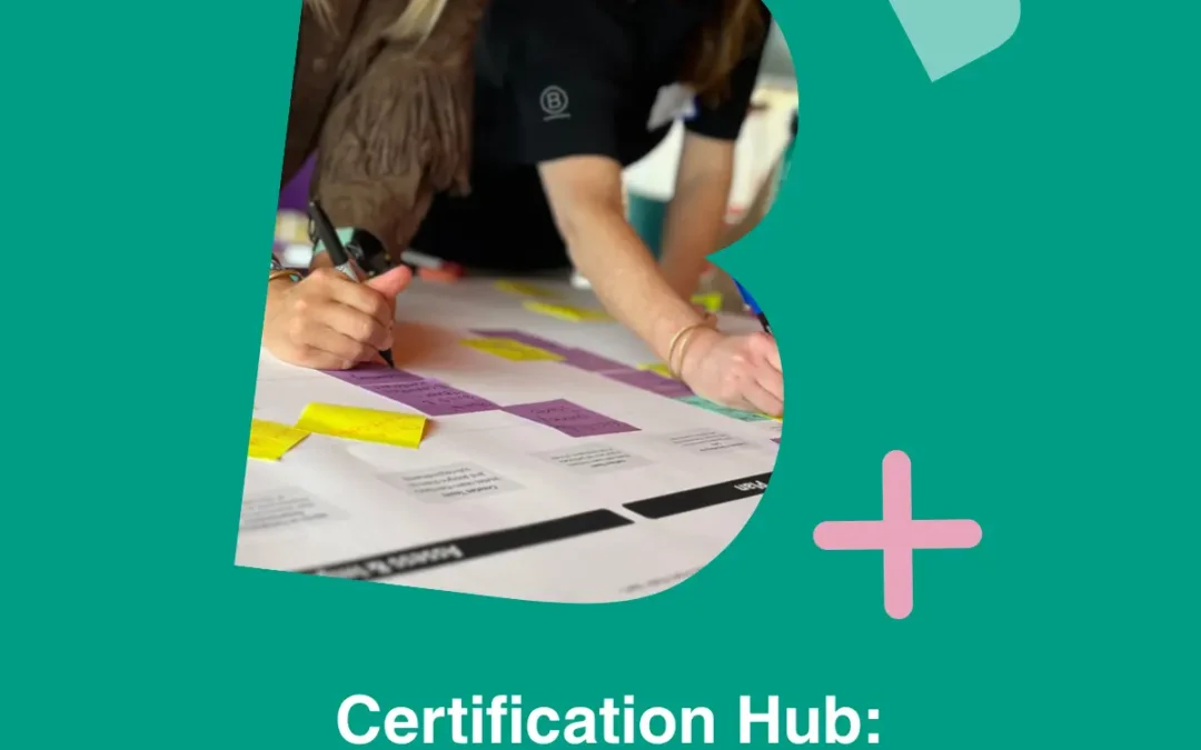 It’s B Corp Recertification Time 